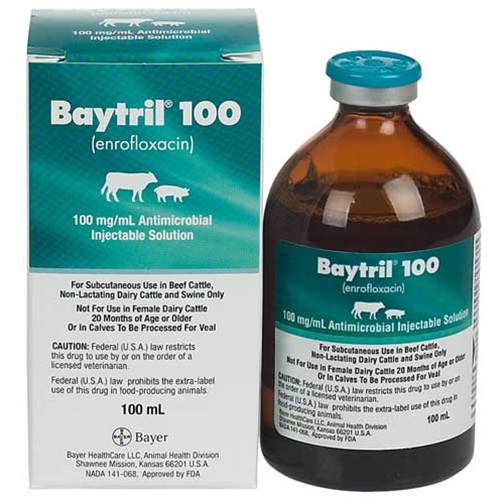 Baytril For Cattles, Baytril 100, Baytril Injectable, Baytril veterinary injection, Enrofloxacin Equine, Enrofloxacin 100 mg/mL, Enrofloxacin Oral Suspension, Baytril - Bayer, Equine Antibiotics, Order Baytril 10% for chickens and horses, Baytril 100 Injectable, Baytril for horses price, Baytril for horses dosage chart, Baytril for horses side effects, baytril injection for horses, enrofloxacin paste for horses, oral enrofloxacin for horses, enrofloxacin oral dose horse, enrofloxacin dosage, Baytril 100 (enrofloxacin) , Baytril antibiotics injection, Baytril for cattle price, Baytril for cattle dose, Baytril for cattle uses, baytril for cattle where to inject, baytril for cattle scours, baytril for calves with pneumonia, baytril 100 for cattle, baytril injection dosage,