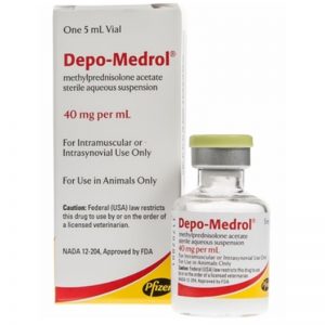 Depo Medrol 5ml, Depo Medrol injection, Depomedrol 5ml injection, Buy Depo Medrol injection for sale, Depo Medrol veterinary injection, DEPO-MEDROL- methylprednisolone acetate injection, Depo-Medrol Sterile Aqueous Suspension, DEPO-MEDROL (methylprednisolone acetate injectable, Depo-Medrol Injectable 80mg/mL, depo-medrol 80 mg injection uses, depo-medrol injection, depo medrol 40mg/ml, depo-medrol injection price, depo-medrol dosage, what is depo-medrol injection used for, depo-medrol side effects, depo-medrol 40 mg injection uses, Anti-inflammatories & Pain Relievers (مسكن للآلام) , antiinflammatory, depo, depo medrol, depomedrol, joints, medrol, methylprednisolone, pain, reliever, zoetis,