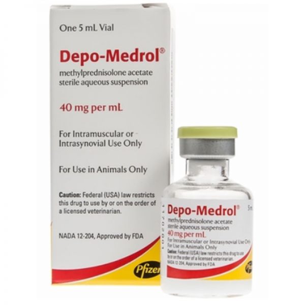Depo Medrol 5ml, Depo Medrol injection, Depomedrol 5ml injection, Buy Depo Medrol injection for sale, Depo Medrol veterinary injection, DEPO-MEDROL- methylprednisolone acetate injection, Depo-Medrol Sterile Aqueous Suspension, DEPO-MEDROL (methylprednisolone acetate injectable, Depo-Medrol Injectable 80mg/mL, depo-medrol 80 mg injection uses, depo-medrol injection, depo medrol 40mg/ml, depo-medrol injection price, depo-medrol dosage, what is depo-medrol injection used for, depo-medrol side effects, depo-medrol 40 mg injection uses, Anti-inflammatories & Pain Relievers (مسكن للآلام) , antiinflammatory, depo, depo medrol, depomedrol, joints, medrol, methylprednisolone, pain, reliever, zoetis,
