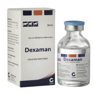 DEXAMAN, dexaman 30ml, dexaman 30ml injection, dexaman 30ml for sale, Buy dexaman 30ml online, Anti-inflammatories & Pain Relievers (مسكن للآلام), Dexa ( ديكساميثازون), Low dose (Less than 0.1% or 1mg/ml), Most Popular (مهم), Percentage, Supplemented or Additives, With Diuretic , anti-inflammatory, calier, camel, corticosteroid, dexa, dexaman, endurance, energy, horse, pain reliever, power, speed, stamina, veterinary medicine,