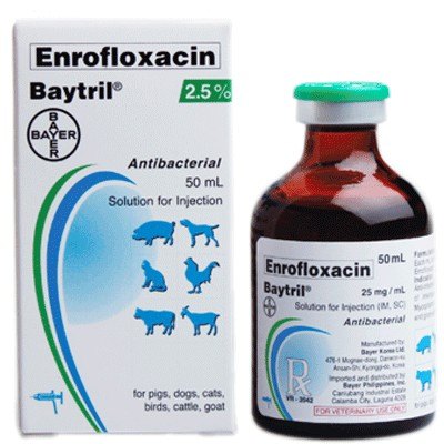 Baytril (enrofloxacin) Antibacterial Tablets for dogs and cats, Baytril (Enrofloxacin) for Cats, Baytril for Dogs/Cats , Enrofloxacin (Baytril), Baytril (Enrofloxacin) Oral Liquid , Baytril (enrofloxacin) Antibacterial Tablets for Animal Use, Enrofloxacin (Baytril), Baytril enrofloxacin for cats side effects, Baytril enrofloxacin for cats dosage, Baytril enrofloxacin for cats dosage chart, baytril for cats dosage, baytril otic for cats dosage, baytril injection for cats, enrofloxacin for dogs dosage chart,
