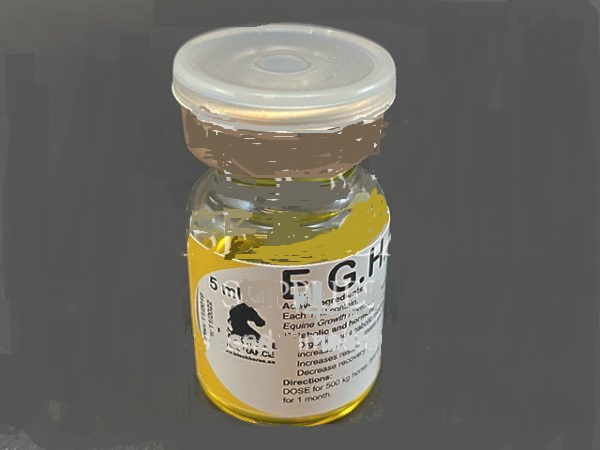 E.G.H-black-horse, Endurance (قدرة التحمل), Energy & Power (طاقة), Hormones & Peptides (الهرمونات والببتيدات) , black, blackhorse, building, EGH, endurance, energy, equine, growth, hormone, horse, muslce, power, stamina