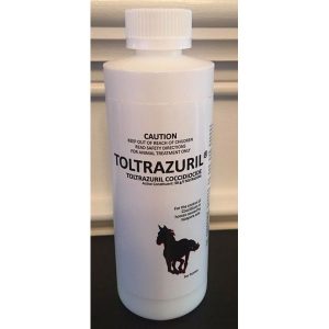 Toltrazuril Suspension 5% 900ml, Toltrazuril Suspension, Toltrazuril oral solution, Toltrazuril for horses, Toltrazuril 900ml, Toltrazuril for dogs, Toltrazuril EPM & Coccidiosis Treatment, Toltrazuril. TOLTRAZURIL Oral Suspension 5%, Toltrazuril 900ml dosage, Toltrazuril 900ml for dogs, Toltrazuril 900ml for sale, toltrazuril injection, toltrazuril powder, toltrazuril poultry, toltrazuril for dogs, toltrazuril for horses, toltrazuril for cats, toltrazuril for goats, diclazuril and toltrazuril,
