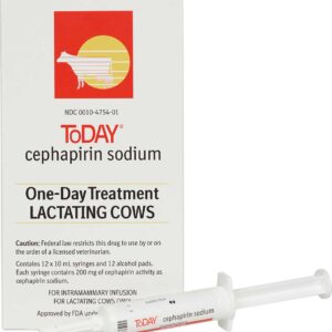 Today (Cephaperin Sodium) One-Day Treatment Lactating Cows , Today (Cephaperin Sodium), Today (Cephaperin Sodium) for cattles, Mastitis Treatment | Dairy | Livestock Supplies, today mastitis treatment withdrawal, tomorrow vs today mastitis treatment, today mastitis treatment sheep, today mastitis treatment label, cephapirin sodium for cows, today mastitis treatment tractor supply, today mastitis treatment for goats, how to use today mastitis treatment,