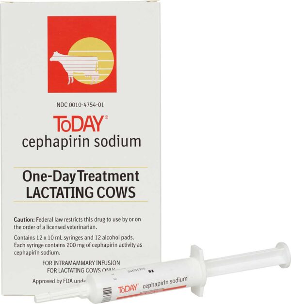 Today (Cephaperin Sodium) One-Day Treatment Lactating Cows , Today (Cephaperin Sodium), Today (Cephaperin Sodium) for cattles, Mastitis Treatment | Dairy | Livestock Supplies, today mastitis treatment withdrawal, tomorrow vs today mastitis treatment, today mastitis treatment sheep, today mastitis treatment label, cephapirin sodium for cows, today mastitis treatment tractor supply, today mastitis treatment for goats, how to use today mastitis treatment,