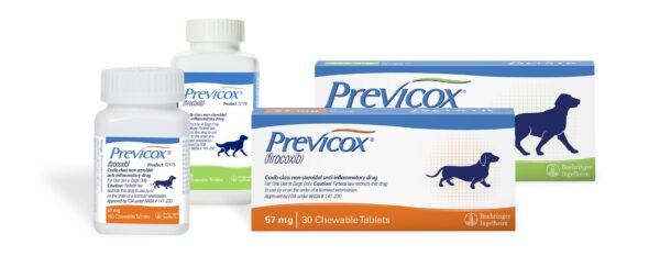 Previcox-Hero, Previcox, Previcox for dogs, Previcox Medicines for dogs, PREVICOX (firocoxib) for Osteoarthritis in Dogs, Previcox (firocoxib) | Medication, Previcox Chewable Tablets for Dogs 227mg, Previcox Tablets - 227mg, Previcox Chewable Tablets for Dogs, previcox for dogs buy online, previcox for dogs price, previcox killed my dog, Previcox for dogs side effects, previcox for dogs dosage, previcox 57 mg for dogs dosage, previcox for dogs 227mg, previcox dog dosage chart kg,