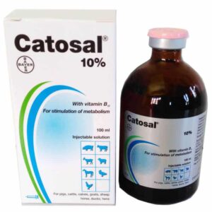 Catosal for Animal Use, CATOSAL 10% Vitamin B12 Butaphosphan, What Is Catosal Used For?, Catosal 100ml injection, Catosal is a solution for injection, catosal injection price, What is catosal used for in dogs, catosal tablet, catasol inj use, catosal bayer, catosal dosage for dogs, catosal injection for dogs, bayer catosal injection. 100ml, Butafosfan, Butaphosphan, Cyanocobalamin, Immune system, Vitamin, Vitamin B12,
