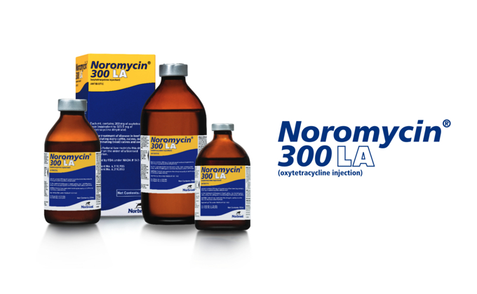 Noromycin 300 LA Oxytetracycline for Use in Animals, Noromycin 300 LA Oxytetracycline, Noromycin 300 LA, Noromycin 300 LA for Cattle Antibiotic (oxytetracycline), Noromycin 300 LA (oxytertracycline injection), Noromycin 300 LA Injection Rx, Noromycin 300 la oxytetracycline for use in animals uses, Noromycin 300 la oxytetracycline for use in animals side, Noromycin 300 la oxytetracycline for use in animals dose, Noromycin 300 la oxytetracycline for use in animals price, la 300 vs penicillin, noromycin 300 la for goats, what is la 300 used for in cattle, noromycin 300 dosage,