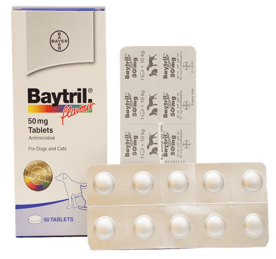 Baytril 50mg Tablets, Baytril Tablets, Baytril Flavoured Tablets, Baytril (enrofloxacin) Antibacterial Tablets for Animal Use, Baytril Tablet (Enrofloxacin),