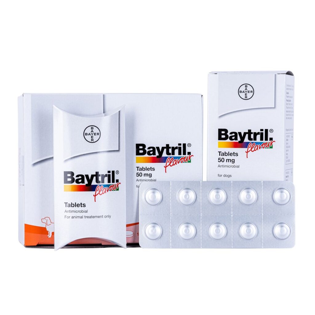 Baytril 50mg Tablets, Baytril Tablets, Baytril Flavoured Tablets, Baytril (enrofloxacin) Antibacterial Tablets for Animal Use, Baytril Tablet (Enrofloxacin),