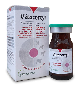 Vetacortyl 5ml, anti-inflammatory, antiinflammatory, Arthritis, methylprednisolone, vetacortyl, vetoquinol, Vetacortyl 5ml For Animal Use, Vetacortyl injection, Buy Vetacortyl 5ml online, Vetacortyl for horses, Methylprednisolone acetate injection,