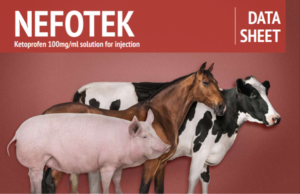 Nefotek injection, Nefotek , Nefotek for animal use, Nefotek 100ml,