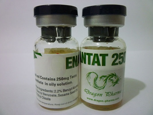 Enantat 250 10ml, Testosterone Enanthate, Enantat 250, Enantat 250 Injection for Sale, Enantat 250 10ml, Testosterone Enanthate, Enantat 250, Enantat 250 Injection for Sale,